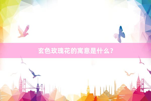 玄色玫瑰花的寓意是什么？